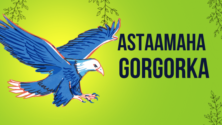 Astaamaha Gorgorka  iyo Casharrada Muhiimka ah ee Laga Baran Karo